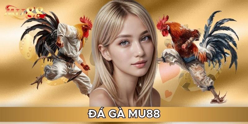 Đá gà MU88 được nhiều người yêu thích