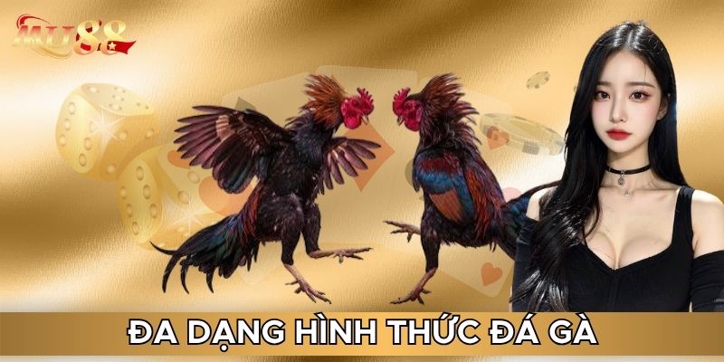 Đa dạng hình thức đá gà